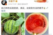 娱乐圈有什么瓜可以吃,揭秘明星幕后故事与精彩瞬间